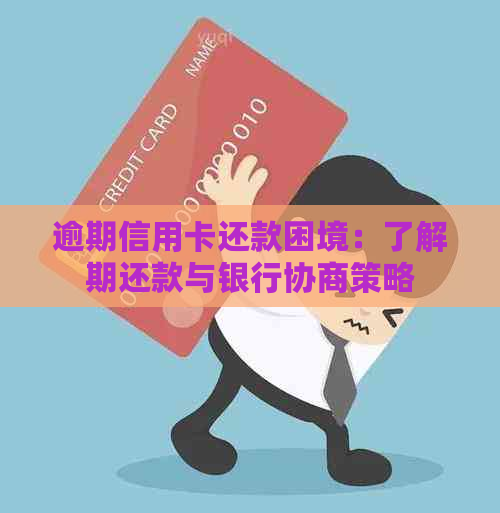 逾期信用卡还款困境：了解期还款与银行协商策略