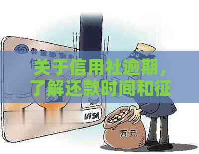 关于信用社逾期，了解还款时间和影响的综合指南