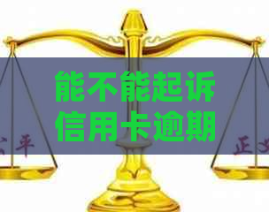 能不能起诉信用卡逾期还款人：关于信用卡逾期的法律问题探究