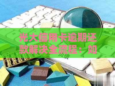 光大信用卡逾期还款解决全流程：如何协商达成方案