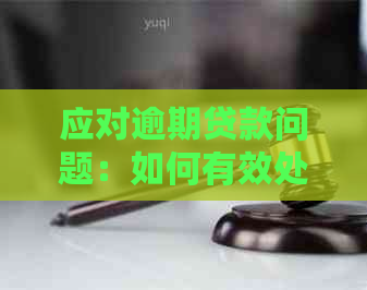 应对逾期贷款问题：如何有效处理兴业银行的电话并避免起诉？