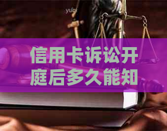 信用卡诉讼开庭后多久能知道结果？了解整个过程的全部阶与时间表