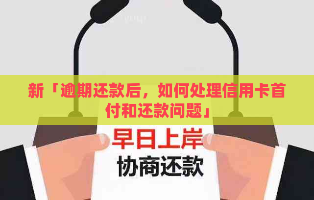 新「逾期还款后，如何处理信用卡首付和还款问题」