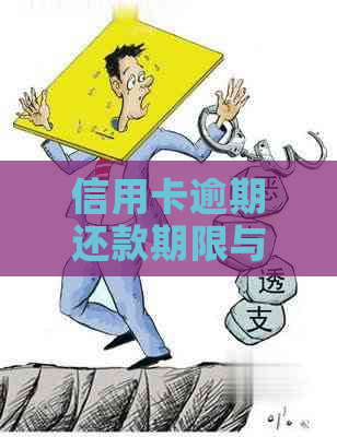 信用卡逾期还款期限与被起诉风险探讨