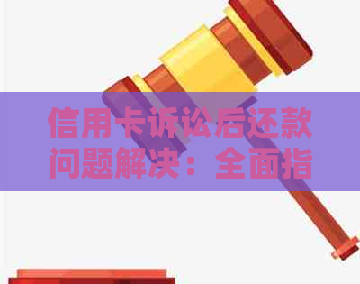 信用卡诉讼后还款问题解决：全面指南与建议