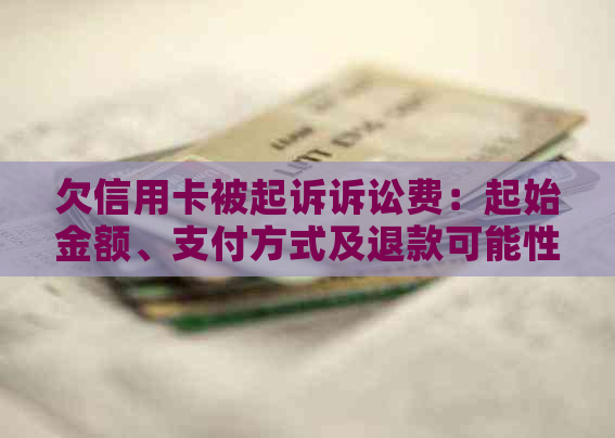 欠信用卡被起诉诉讼费：起始金额、支付方式及退款可能性全解析