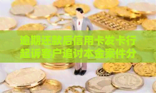 逾期还款后信用卡发卡行起诉客户追讨本金案件分析