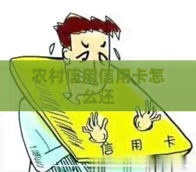 农村信用信用卡怎么还