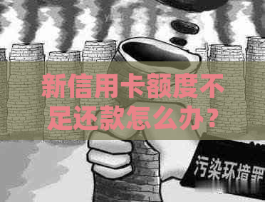 新信用卡额度不足还款怎么办？还呗如何帮助您解决信用卡还款问题？