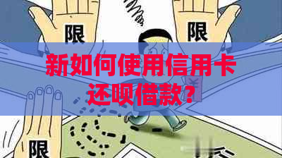 新如何使用信用卡还呗借款？