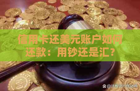 信用卡还美元账户如何还款：用钞还是汇？