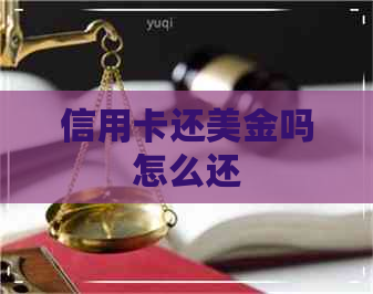 信用卡还美金吗怎么还