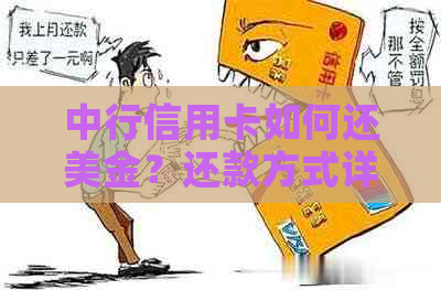 中行信用卡如何还美金？还款方式详解