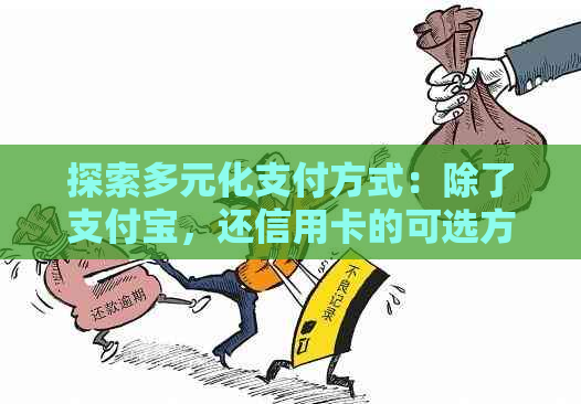 探索多元化支付方式：除了支付宝，还信用卡的可选方案有哪些？