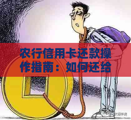 农行信用卡还款操作指南：如何还给农行？