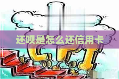 还呗是怎么还信用卡