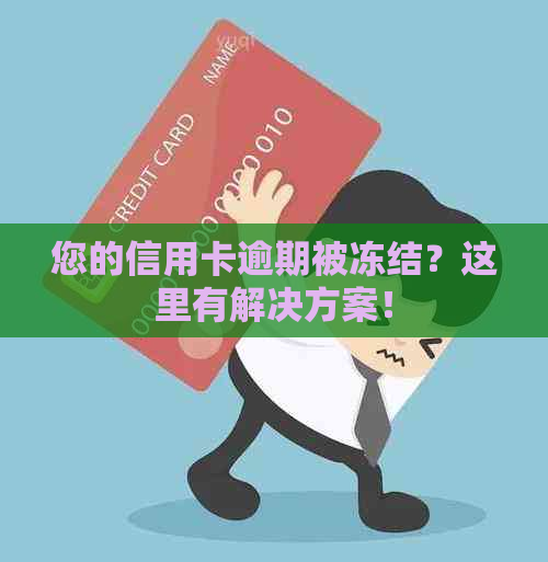 您的信用卡逾期被冻结？这里有解决方案！