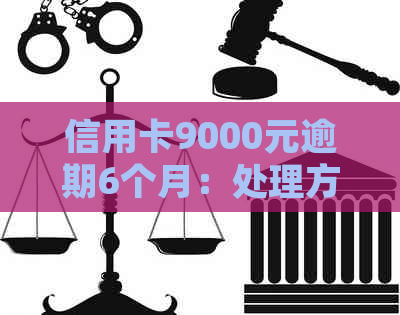 信用卡9000元逾期6个月：处理方法、影响与解决方案全面解析