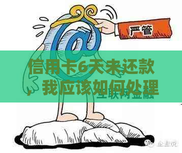 信用卡6天未还款，我应该如何处理？逾期后果与解决办法全面解析