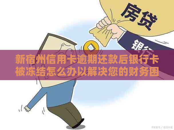 新宿州信用卡逾期还款后银行卡被冻结怎么办以解决您的财务困扰