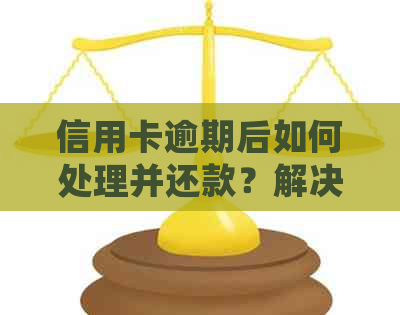 信用卡逾期后如何处理并还款？解决销卡后还款问题的综合指南