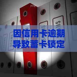 因信用卡逾期导致蓄卡锁定怎么办