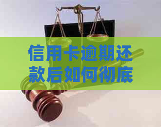 信用卡逾期还款后如何彻底销卡？详细步骤解析及注意事项