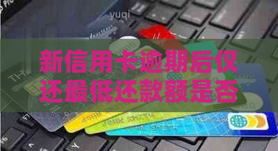 新信用卡逾期后仅还更低还款额是否可行？如何避免不良信用记录？