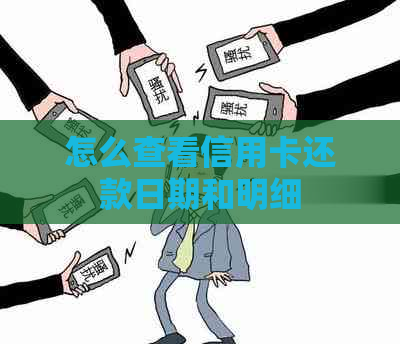 怎么查看信用卡还款日期和明细