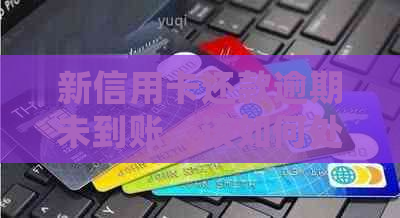 新信用卡还款逾期未到账，该如何处理？