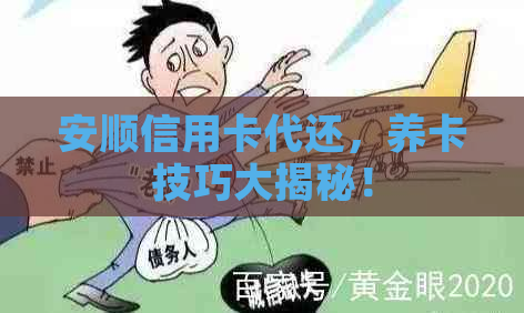 安顺信用卡代还，养卡技巧大揭秘！