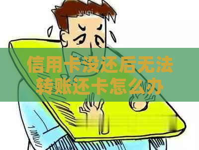 信用卡没还后无法转账还卡怎么办