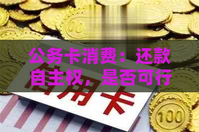 公务卡消费：还款自     ，是否可行？