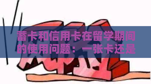 蓄卡和信用卡在留学期间的使用问题：一张卡还是两张？