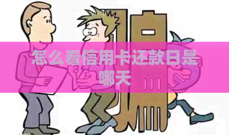 怎么看信用卡还款日是哪天