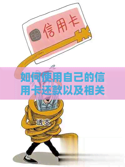 如何使用自己的信用卡还款以及相关信息