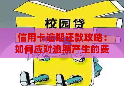 信用卡逾期还款攻略：如何应对逾期产生的费用和信用影响