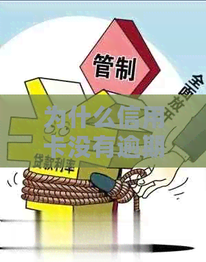 为什么信用卡没有逾期被停了还能用：原因与影响