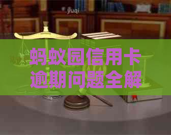 蚂蚁园信用卡逾期问题全解析：如何处理、影响与解决办法