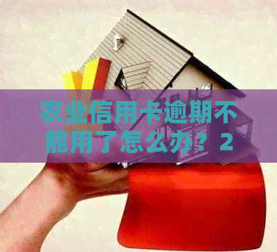 农业信用卡逾期不能用了怎么办？2021年新法规和起诉情况解读