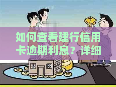 如何查看建行信用卡逾期利息？详细步骤解析与常见疑问解答