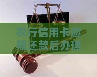 农行信用卡逾期还款后办理分期，利息如何计算？