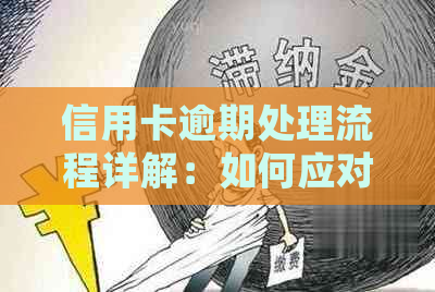 信用卡逾期处理流程详解：如何应对逾期、移交本地机构及解决相关问题