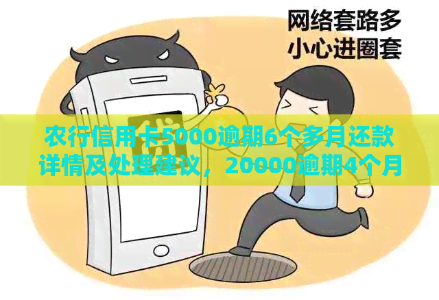 农行信用卡5000逾期6个多月还款详情及处理建议，20000逾期4个月用户参考。