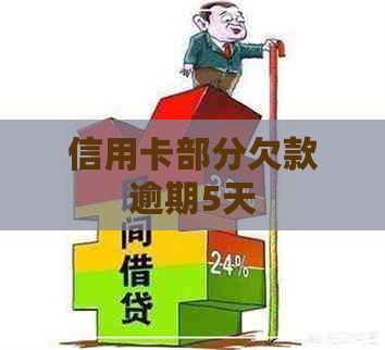 信用卡部分欠款逾期5天