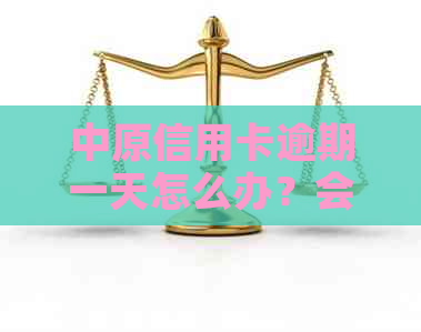 中原信用卡逾期一天怎么办？会有什么影响和费用？