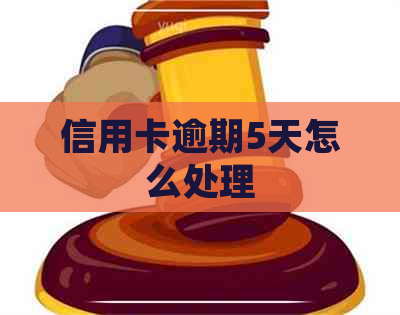 信用卡逾期5天怎么处理