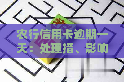 农行信用卡逾期一天：处理措、影响与解决方法