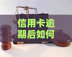 信用卡逾期后如何查询欠款记录？全面解决用户可能遇到的问题