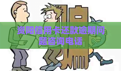 资阳信用卡还款逾期问题咨询电话